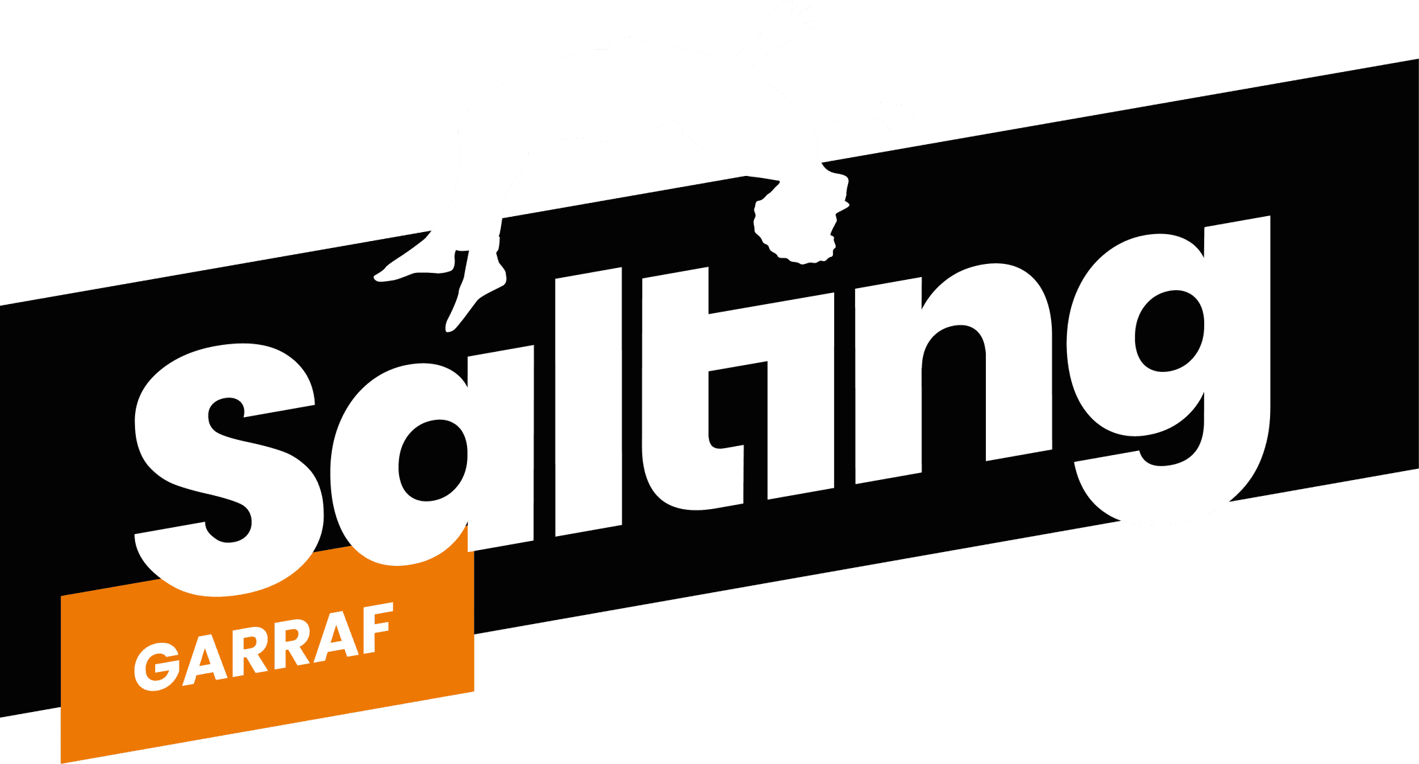 Logo de Salting Garraf